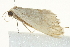  ( - BIOUG02065-G12)  @12 [ ] CreativeCommons - Attribution (2012) CBG Photography Group Centre for Biodiversity Genomics