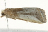  ( - BIOUG02066-A02)  @12 [ ] CreativeCommons - Attribution (2012) CBG Photography Group Centre for Biodiversity Genomics