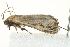  ( - BIOUG02066-B12)  @12 [ ] CreativeCommons - Attribution (2012) CBG Photography Group Centre for Biodiversity Genomics