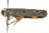  ( - BIOUG02067-D06)  @12 [ ] CreativeCommons - Attribution (2012) CBG Photography Group Centre for Biodiversity Genomics