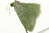  ( - BIOUG02067-D11)  @13 [ ] CreativeCommons - Attribution (2012) CBG Photography Group Centre for Biodiversity Genomics