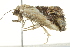  ( - BIOUG02067-F08)  @12 [ ] CreativeCommons - Attribution (2012) CBG Photography Group Centre for Biodiversity Genomics