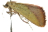  ( - BIOUG02077-B02)  @12 [ ] CreativeCommons - Attribution (2012) CBG Photography Group Centre for Biodiversity Genomics