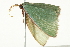  ( - BIOUG02077-G02)  @12 [ ] CreativeCommons - Attribution (2012) CBG Photography Group Centre for Biodiversity Genomics