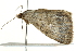  ( - BIOUG02069-B04)  @13 [ ] CreativeCommons - Attribution (2012) CBG Photography Group Centre for Biodiversity Genomics