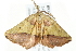  ( - BIOUG02069-C08)  @13 [ ] CreativeCommons - Attribution (2012) CBG Photography Group Centre for Biodiversity Genomics