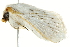  ( - BIOUG02069-C11)  @13 [ ] CreativeCommons - Attribution (2012) CBG Photography Group Centre for Biodiversity Genomics