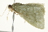  ( - BIOUG02070-B04)  @13 [ ] CreativeCommons - Attribution (2012) CBG Photography Group Centre for Biodiversity Genomics