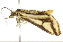  ( - BIOUG02070-C06)  @12 [ ] CreativeCommons - Attribution (2012) CBG Photography Group Centre for Biodiversity Genomics