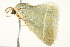  ( - BIOUG02070-F12)  @13 [ ] CreativeCommons - Attribution (2012) CBG Photography Group Centre for Biodiversity Genomics