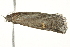  ( - BIOUG02072-B09)  @12 [ ] CreativeCommons - Attribution (2012) CBG Photography Group Centre for Biodiversity Genomics