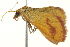  ( - BIOUG02073-C02)  @13 [ ] CreativeCommons - Attribution (2012) CBG Photography Group Centre for Biodiversity Genomics