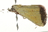  ( - BIOUG02074-E03)  @12 [ ] CreativeCommons - Attribution (2012) CBG Photography Group Centre for Biodiversity Genomics
