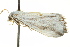  ( - BIOUG02075-E11)  @13 [ ] CreativeCommons - Attribution (2012) CBG Photography Group Centre for Biodiversity Genomics