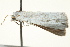  ( - BIOUG02075-F01)  @13 [ ] CreativeCommons - Attribution (2012) CBG Photography Group Centre for Biodiversity Genomics