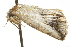  ( - BIOUG02075-F09)  @12 [ ] CreativeCommons - Attribution (2012) CBG Photography Group Centre for Biodiversity Genomics