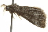  ( - BIOUG02075-F12)  @12 [ ] CreativeCommons - Attribution (2012) CBG Photography Group Centre for Biodiversity Genomics