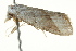  ( - BIOUG02075-G06)  @12 [ ] CreativeCommons - Attribution (2012) CBG Photography Group Centre for Biodiversity Genomics