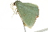  ( - BIOUG02076-B05)  @12 [ ] CreativeCommons - Attribution (2012) CBG Photography Group Centre for Biodiversity Genomics