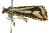  ( - BIOUG02076-E06)  @12 [ ] CreativeCommons - Attribution (2012) CBG Photography Group Centre for Biodiversity Genomics