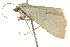  ( - BIOUG02076-E08)  @12 [ ] CreativeCommons - Attribution (2012) CBG Photography Group Centre for Biodiversity Genomics