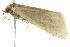  ( - BIOUG02076-G09)  @12 [ ] CreativeCommons - Attribution (2012) CBG Photography Group Centre for Biodiversity Genomics