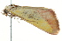  ( - BIOUG02076-H01)  @12 [ ] CreativeCommons - Attribution (2012) CBG Photography Group Centre for Biodiversity Genomics