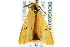  ( - BIOUG02078-D06)  @13 [ ] CreativeCommons - Attribution (2012) CBG Photography Group Centre for Biodiversity Genomics
