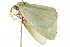  ( - BIOUG02078-G05)  @12 [ ] CreativeCommons - Attribution (2012) CBG Photography Group Centre for Biodiversity Genomics