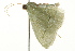  ( - BIOUG02078-H04)  @13 [ ] CreativeCommons - Attribution (2012) CBG Photography Group Centre for Biodiversity Genomics