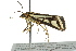  ( - BIOUG02079-E01)  @12 [ ] CreativeCommons - Attribution (2012) CBG Photography Group Centre for Biodiversity Genomics