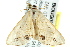  ( - BIOUG02079-G01)  @12 [ ] CreativeCommons - Attribution (2012) CBG Photography Group Centre for Biodiversity Genomics