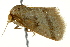  ( - BIOUG02080-E09)  @12 [ ] CreativeCommons - Attribution (2012) CBG Photography Group Centre for Biodiversity Genomics