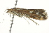  ( - BIOUG02080-G01)  @12 [ ] CreativeCommons - Attribution (2012) CBG Photography Group Centre for Biodiversity Genomics