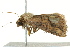  ( - BIOUG02082-B12)  @12 [ ] CreativeCommons - Attribution (2012) CBG Photography Group Centre for Biodiversity Genomics