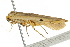  ( - BIOUG02082-F10)  @14 [ ] CreativeCommons - Attribution (2012) CBG Photography Group Centre for Biodiversity Genomics