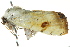  ( - BIOUG02083-D07)  @12 [ ] CreativeCommons - Attribution (2012) CBG Photography Group Centre for Biodiversity Genomics