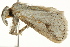  ( - BIOUG02084-B04)  @12 [ ] CreativeCommons - Attribution (2012) CBG Photography Group Centre for Biodiversity Genomics