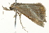  ( - BIOUG02084-B05)  @12 [ ] CreativeCommons - Attribution (2012) CBG Photography Group Centre for Biodiversity Genomics
