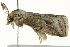  ( - BIOUG02084-B09)  @12 [ ] CreativeCommons - Attribution (2012) CBG Photography Group Centre for Biodiversity Genomics