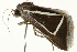  ( - BIOUG02084-C12)  @14 [ ] CreativeCommons - Attribution (2012) CBG Photography Group Centre for Biodiversity Genomics