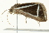  ( - BIOUG02084-D09)  @14 [ ] CreativeCommons - Attribution (2012) CBG Photography Group Centre for Biodiversity Genomics