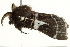  ( - BIOUG02085-E05)  @13 [ ] CreativeCommons - Attribution (2012) CBG Photography Group Centre for Biodiversity Genomics