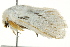 ( - BIOUG02085-G01)  @13 [ ] CreativeCommons - Attribution (2012) CBG Photography Group Centre for Biodiversity Genomics