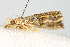  ( - BIOUG02064-B10)  @12 [ ] CreativeCommons - Attribution (2012) CBG Photography Group Centre for Biodiversity Genomics
