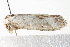  ( - BIOUG02064-B11)  @12 [ ] CreativeCommons - Attribution (2012) CBG Photography Group Centre for Biodiversity Genomics