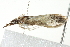  ( - BIOUG02064-F07)  @12 [ ] CreativeCommons - Attribution (2012) CBG Photography Group Centre for Biodiversity Genomics