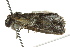  ( - BIOUG02081-D12)  @12 [ ] CreativeCommons - Attribution (2012) CBG Photography Group Centre for Biodiversity Genomics