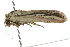  ( - BIOUG02081-F04)  @13 [ ] CreativeCommons - Attribution (2012) CBG Photography Group Centre for Biodiversity Genomics