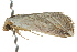  ( - BIOUG02081-G04)  @13 [ ] CreativeCommons - Attribution (2012) CBG Photography Group Centre for Biodiversity Genomics